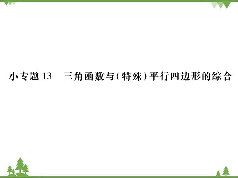 小专题13 三角函数与(特殊)平行四边形的综合.pptx01