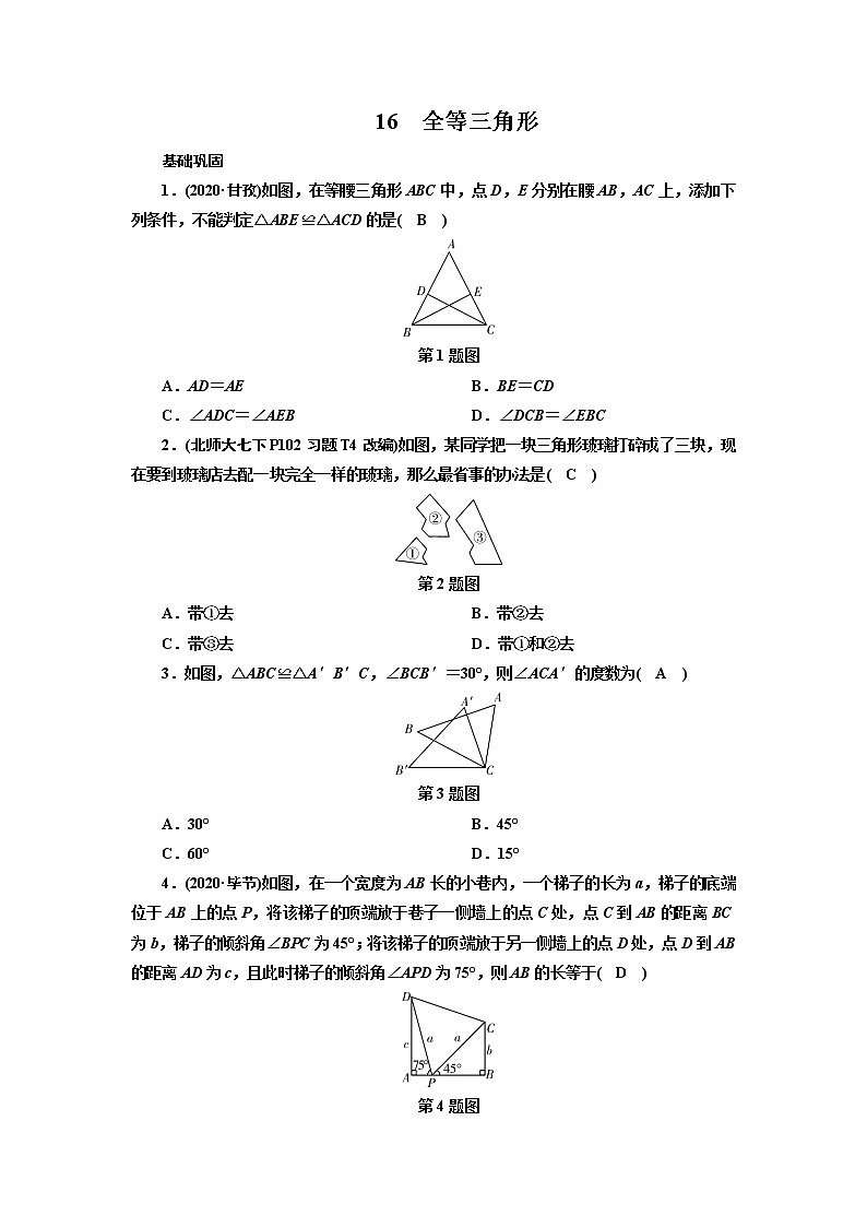 2021年九年级中考数学一轮复习 16 全等三角形(通用版) 试卷01