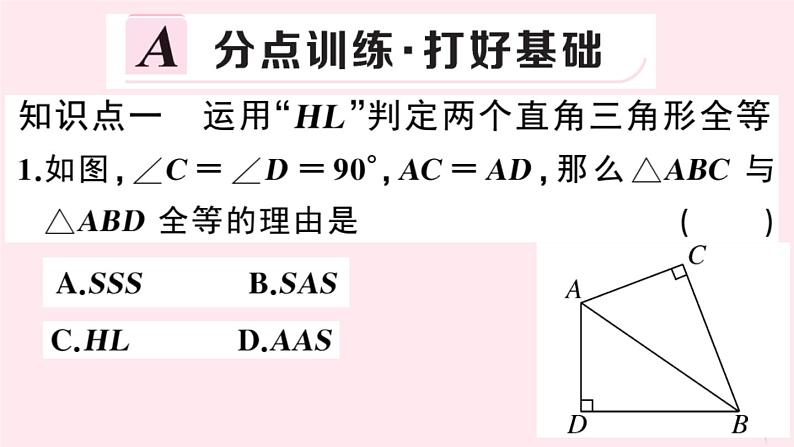 2019秋八年级数学上册第14章全等三角形14-2三角形全等的判定5两个直角三角形全等的判定习题课件(新版)沪科版02