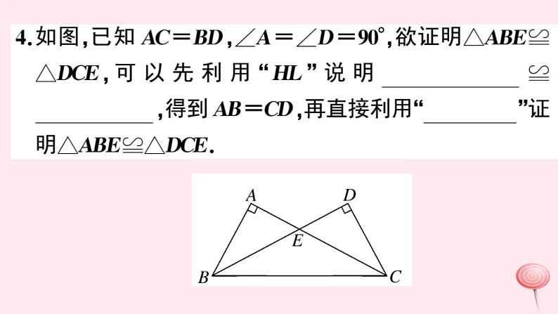 2019秋八年级数学上册第14章全等三角形14-2三角形全等的判定5两个直角三角形全等的判定习题课件(新版)沪科版05
