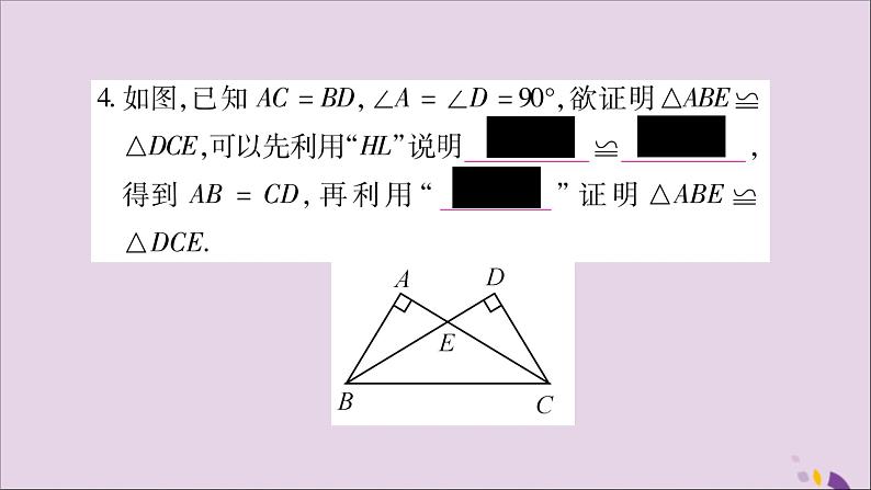 八年级数学上册第14章全等三角形14-2三角形全等的判定14-2-5两个直角三角形全等的判定习题课件(新版)沪科版第5页