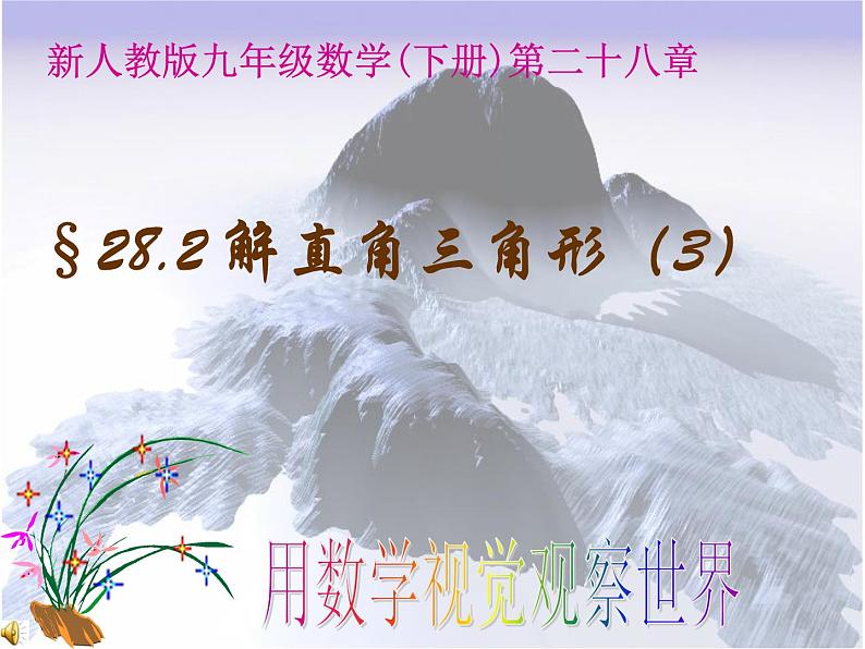 数学:28.2解直角三角形(3)课件(人教新课标九年级下)第1页