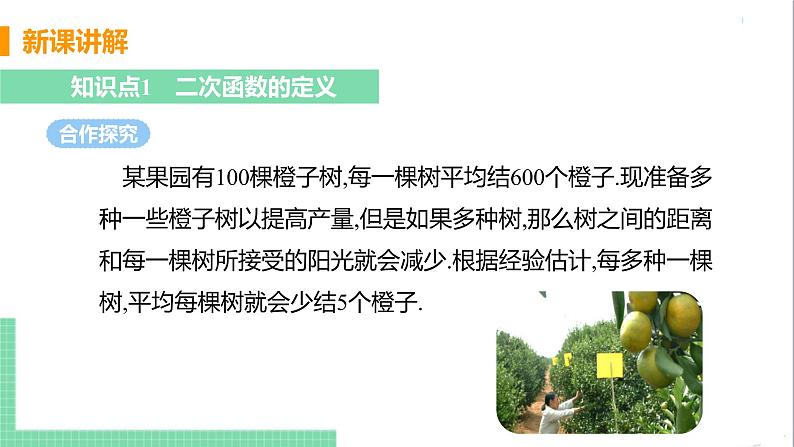 九年级下册数学北师大版 第二章 二次函数 1 二次函数 课件08