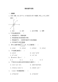 初中数学青岛七下期末数学试卷