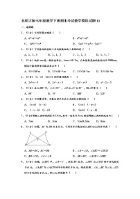 北师大版七年级数学下册期末考试数学模拟试题11（含答案）