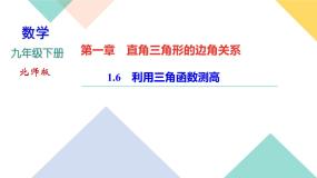 数学九年级下册6 利用三角函数测高精品ppt课件