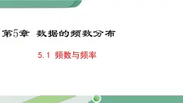 湘教版数学八年级下册 5.1 频数与频率 课件PPT