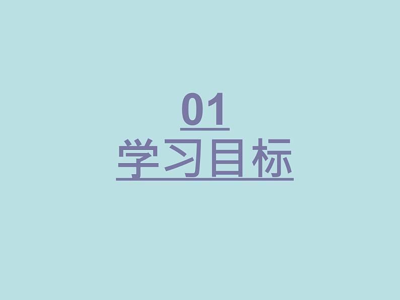 第五章分式与分式方程复习-北师大版八年级数学下册课件(共28张PPT)03