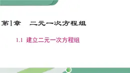 湘教版数学七年级下册 1.1 建立二元一次方程组 课件PPT