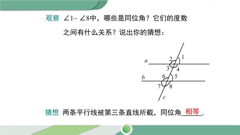 湘教版数学七年级下册 4.3 平行线的性质 课件PPT05