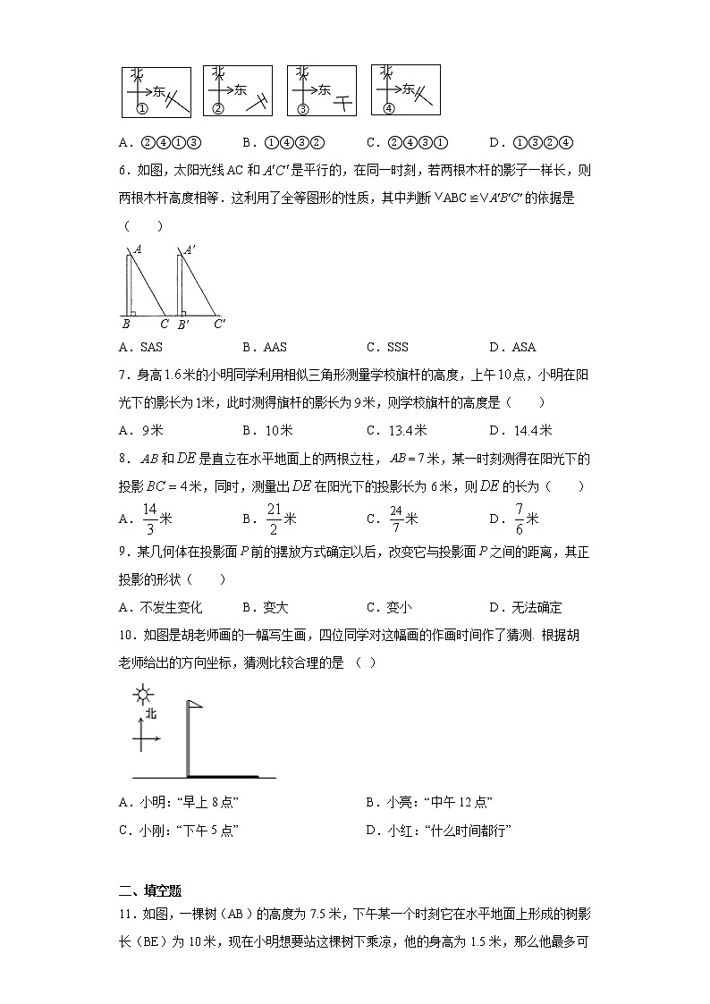 青岛版 九下8.2平行投影同步课时训练(word版含答案)02