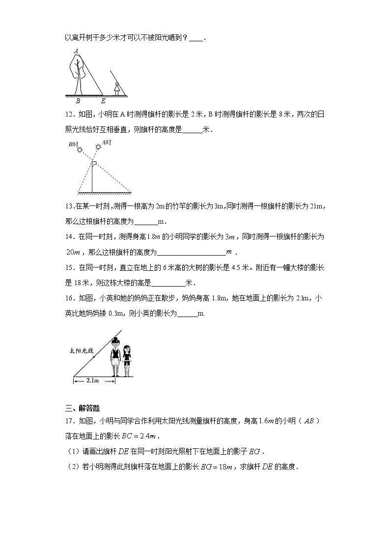 青岛版 九下8.2平行投影同步课时训练(word版含答案)03
