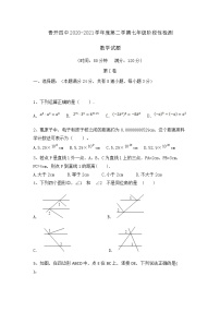 试卷 青岛市黄岛区第四中学2020-2021学年度七年级下册3月底月考数学试题