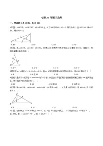 2021年中考数学二轮复习专项训练 专题20 等腰三角形(含解析)