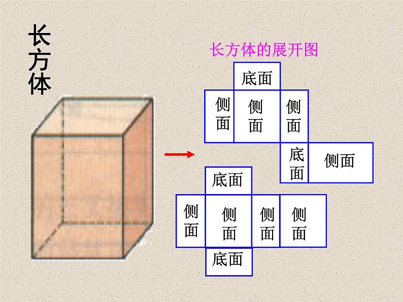 北京课改版数学九年级下册 24.3 《基本几何体的平面展开图》课件1第8页