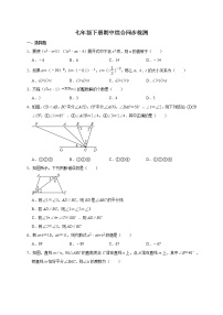 2020--2021学年人教版数学七年级下册期中综合同步检测