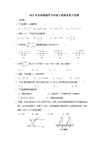 2021年苏科版数学七年级下册期末复习试卷八（含答案）