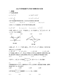 2021年苏科版数学七年级下册期末复习试卷四（含答案）