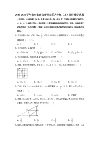 2020-2021学年山东省青岛市崂山区八年级（上）期中数学试卷（word版 含答案）