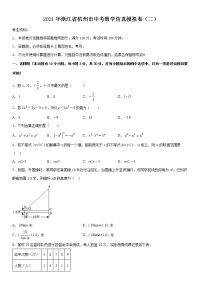2021年浙江省杭州市中考数学仿真模拟卷（二）