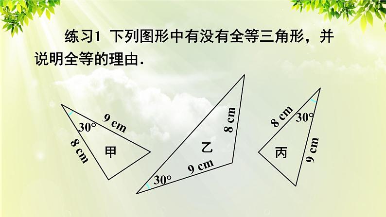 人教版八年级数学上册 第十二章 全等三角形 12.2 全等三角形的判定 第2课时 用“SAS”判定三角形全等 课件07