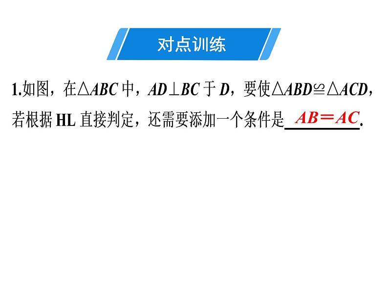 第12章 第5课时 三角形全等的判定(4)——HL-2020秋人教版八年级数学上册课件(共27张PPT)05