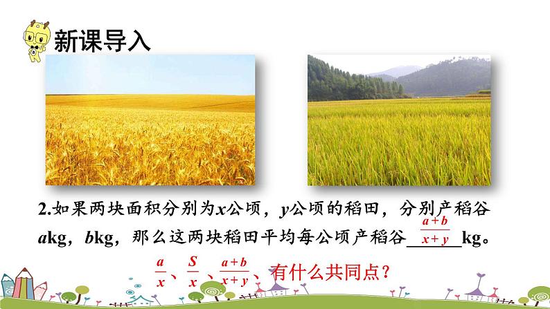 新湘教版八年级数学上册 1.1.1《分式的概念》PPT课件04