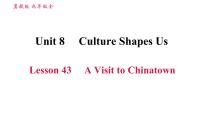 2021学年Lesson 43 A Visit to Chinatown习题ppt课件