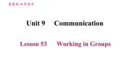 冀教版九年级英语全一册习题课件 Unit9 Lesson 53 Working in Groups