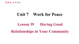 冀教版九年级英语全一册习题课件 Unit7 Lesson 39 Having Good Relationships in Your Community