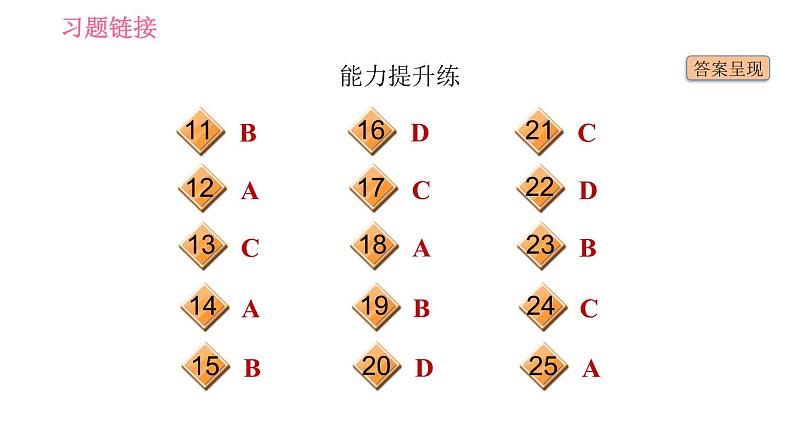 人教版九年级上册英语习题课件 Unit11 课时4 Section B(1a-1e)03