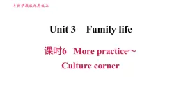 沪教版九年级上册英语课件 Unit3  课时6 More practice～Culture corner