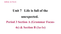 鲁教五四版九年级全一册英语习题课件 Unit7 Period 3 Section A(Grammar Focus-4c)& Section B (1a-1e)