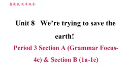 鲁教五四版九年级全一册英语习题课件 Unit8 Period 3 Section A(Grammar Focus-4c)& Section B (1a-1e)