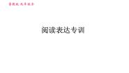 鲁教五四版九年级全一册英语习题课件 期末专训之阅读表达专训