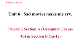 鲁教五四版九年级全一册英语习题课件 Unit6 Period 3 Section A(Grammar Focus-4b)& Section B (1a-1e)