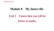 初中英语外研版 (新标准)九年级下册Module 8 My future life综合与测试习题ppt课件