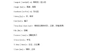 初中英语外研版 (新标准)九年级上册Revision Module B学案设计
