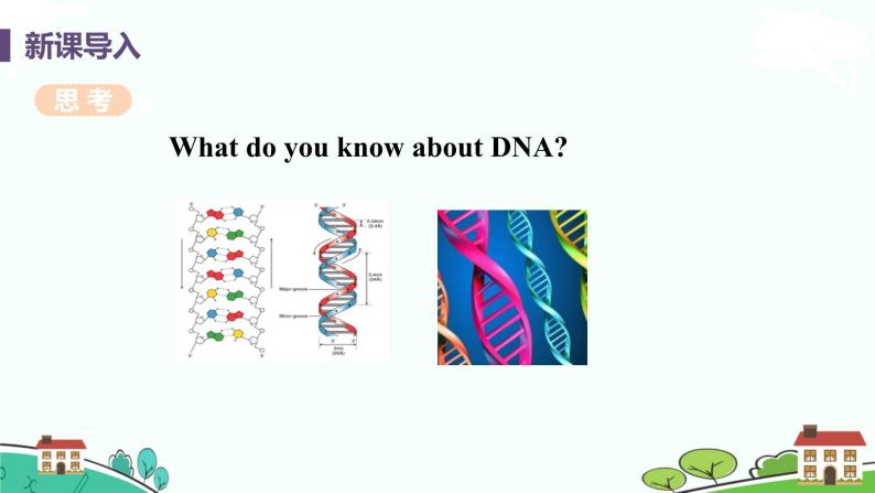 冀教版英语九年级上册Lesson 29《DNA－The Story of You》PPT课件+音频04