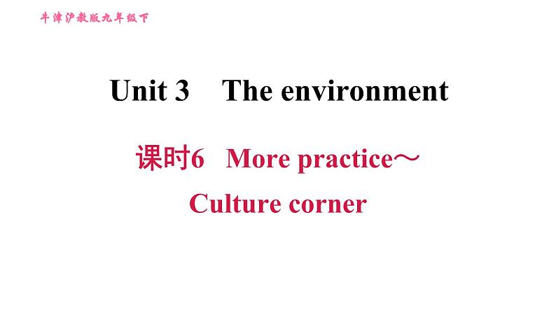 沪教牛津版九年级下册英语课件 Unit 3 课时6 More practice~Culture corner第1页