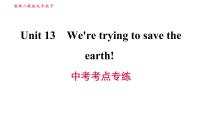 人教新目标 (Go for it) 版九年级全册Unit 13 We’re trying to save the earth!综合与测试课堂教学课件ppt