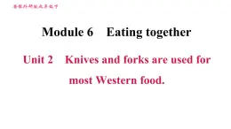 外研版九年级下册英语课件 Module 6 Unit 2 Knives and forks are used for most Western food.