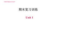 沪教牛津版九年级下册英语 期末复习训练 习题课件