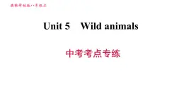 牛津版八年级上册英语习题课件 Unit5 中考考点专练