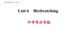 牛津版八年级上册英语习题课件 Unit6 中考考点专练