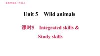 牛津译林版Study skills习题ppt课件