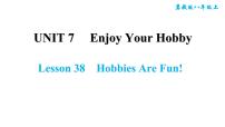 冀教版八年级上册Lesson 38 Hobbies Are Fun!习题ppt课件