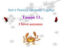 2021学年Unit 3 Families Celebrate TogetherLesson 13 I Love Autumn教学ppt课件