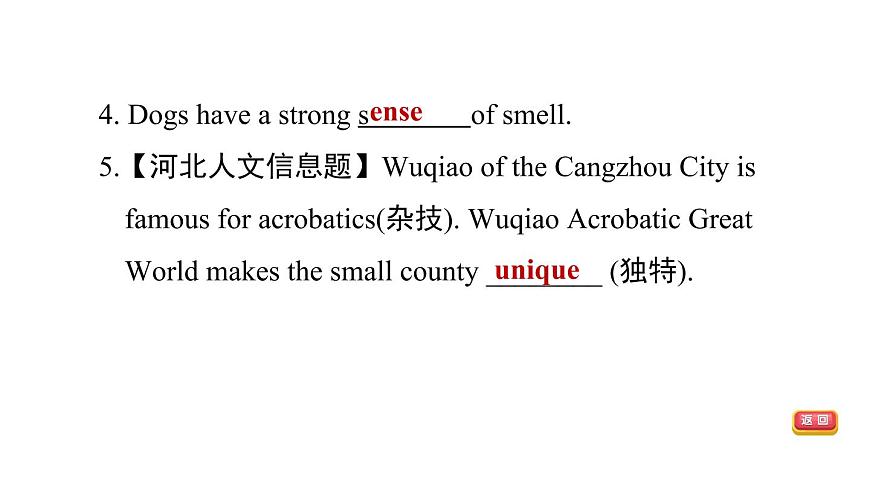 冀教版八年級上冊英語習題課件 Unit8 Lesson 43　What Makes You Unique第5頁