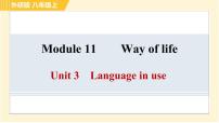 外研版 (新标准)八年级上册Unit 3 Language in use .习题课件ppt